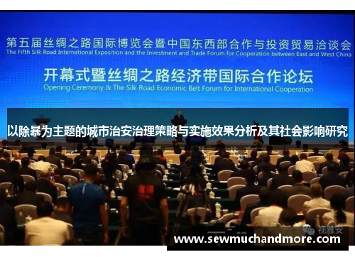 以除暴为主题的城市治安治理策略与实施效果分析及其社会影响研究